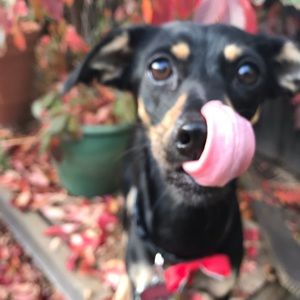 Meet your Posher, Jordan